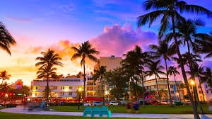 Colorful sunset over cityscape with palm trees.