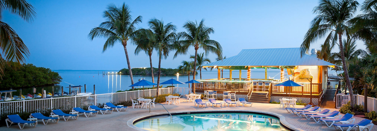 Tropical resort pool with palm trees at sunset.